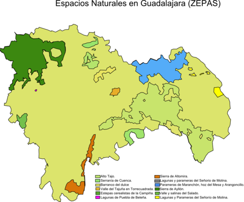 Special Protection Areas for birds in the Province of Guadalajara (ZEPA) 2008