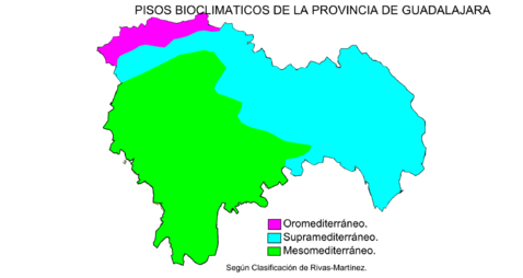 Bioclimatic zones of the province of Guadalajara 2009