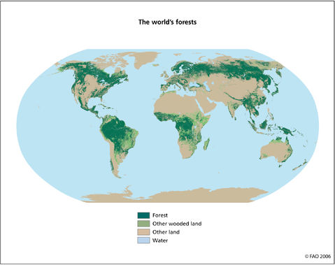 Los bosques del mundo 2006