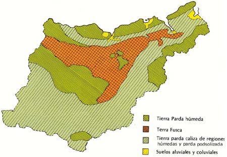 The different soil types of Gipuzkoa