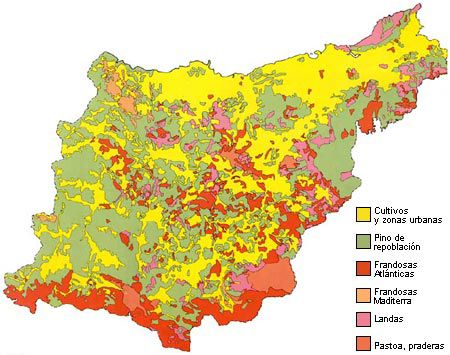 Vegetation of Gipuzkoa