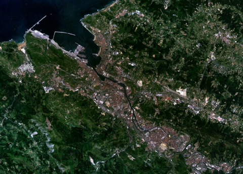 Vista satelital del Área metropolitana de Bilbao