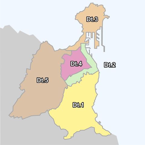 Districts of Las Palmas 2007