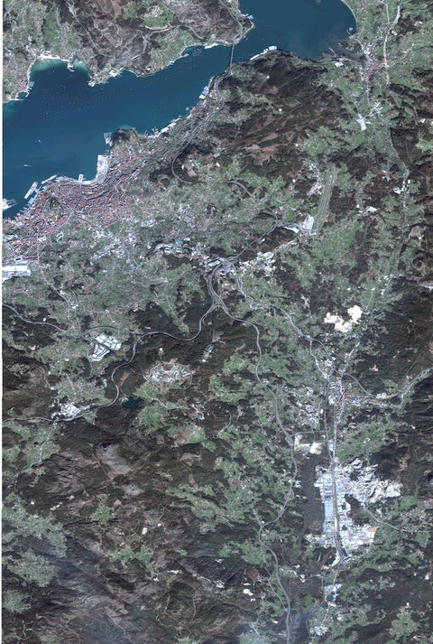 Satellite map of Vigo