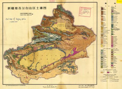 Soil map of Xinjiang