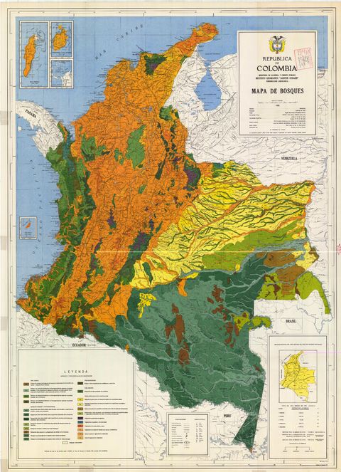 Forests of Colombia | Gifex