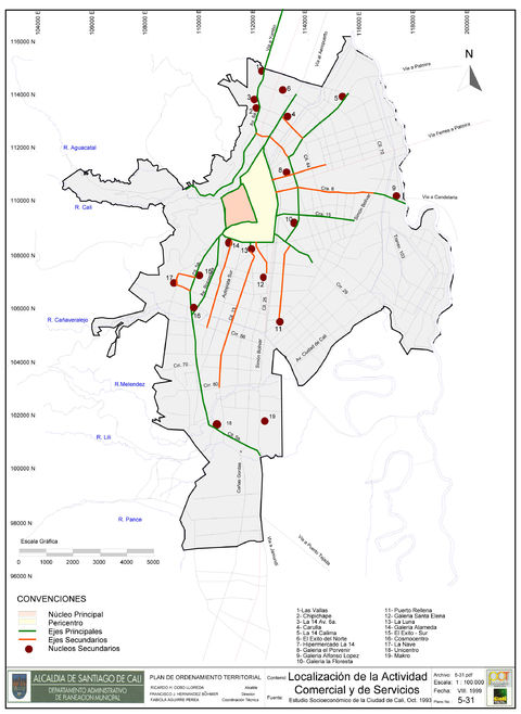 Commercial and service activity in Cali 1999