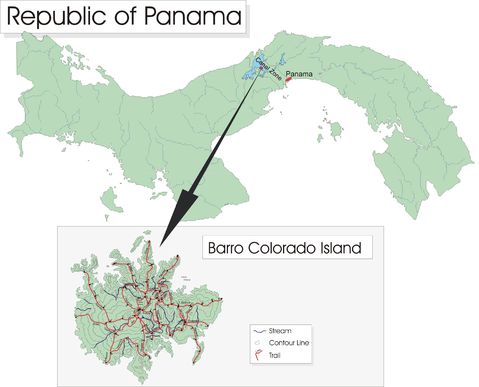 Barro Colorado Island in Panama