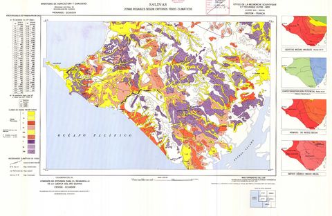 Irrigable areas in the region of Salinas 1978