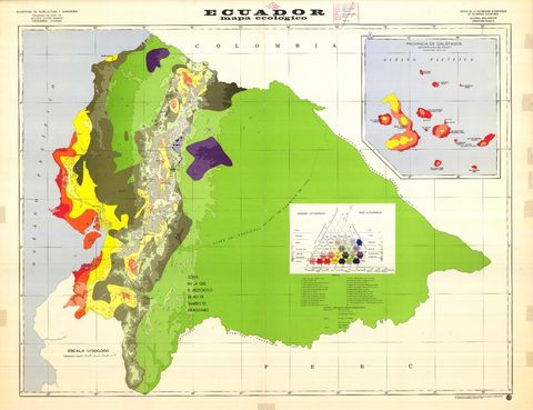 Ecological map of Ecuador 