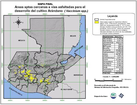 Areas suitable for growing Vaccinium berries in Guatemala