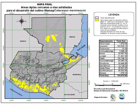 Areas suitable for growing Mamey in Guatemala