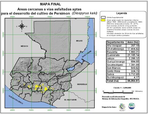 Areas suitable for growing Persimmon in Guatemala