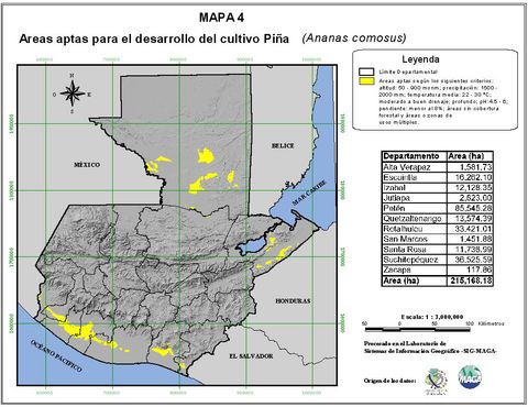 Areas suitable for growing Pineapple in Guatemala