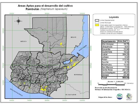 Áreas aptas para el cultivo del Rambután en Guatemala