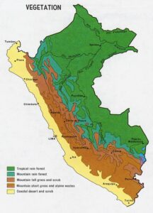 Mapa de vegetación del Perú.