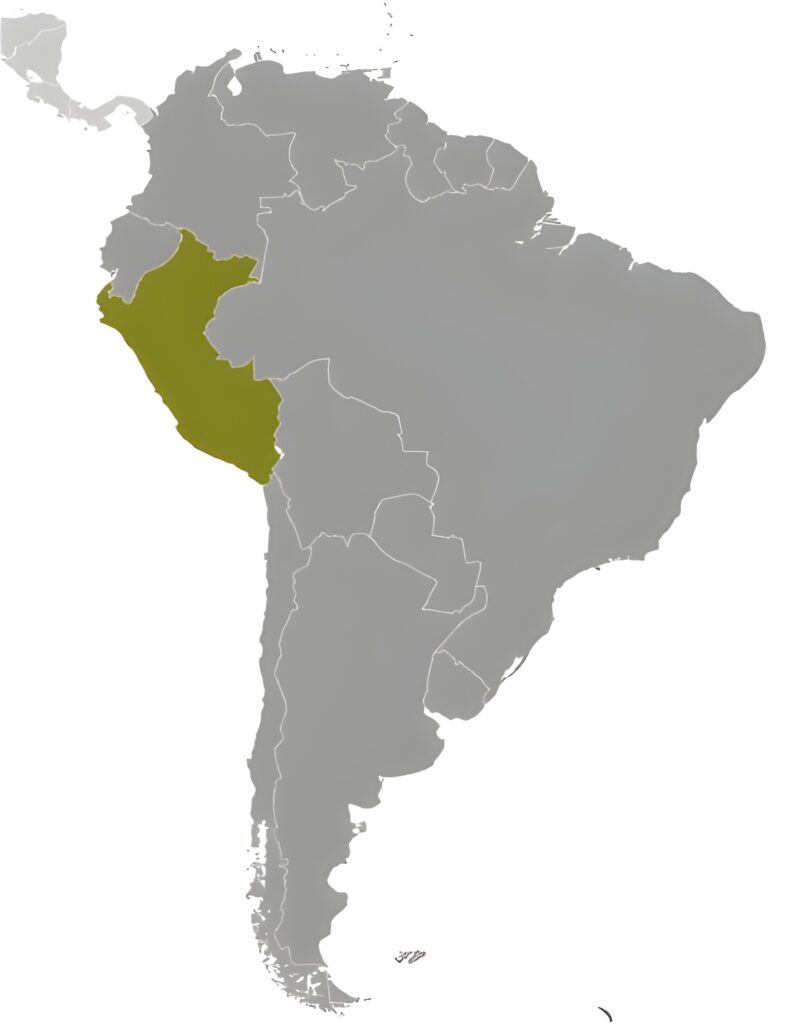 Mapa de ubicación del Perú.